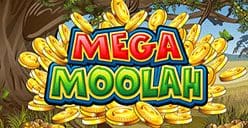 Mega Moolah Slots game jackpot