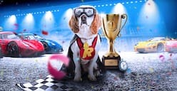 Rizk Races promo