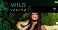 Wild Casino Bonus Offer Roulette