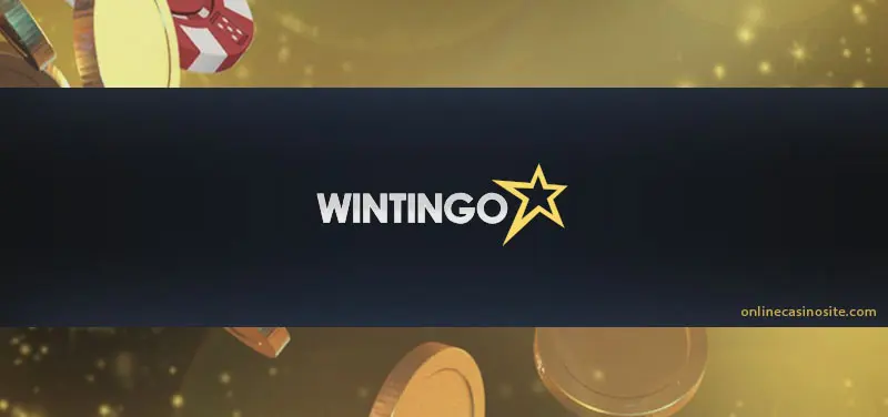 Wintingo Online Casino review