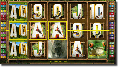 Microgaming's I'm a Celebrity Get Me Out of Here online pokies