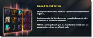 Special features in Fantasini pokies