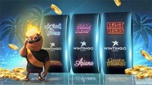 Wintingo leaves Aus market