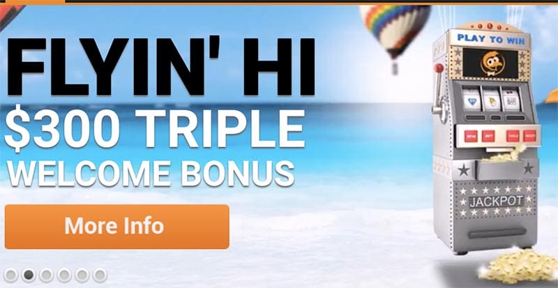 Emu casino no deposit bonus codes december 2018 dates